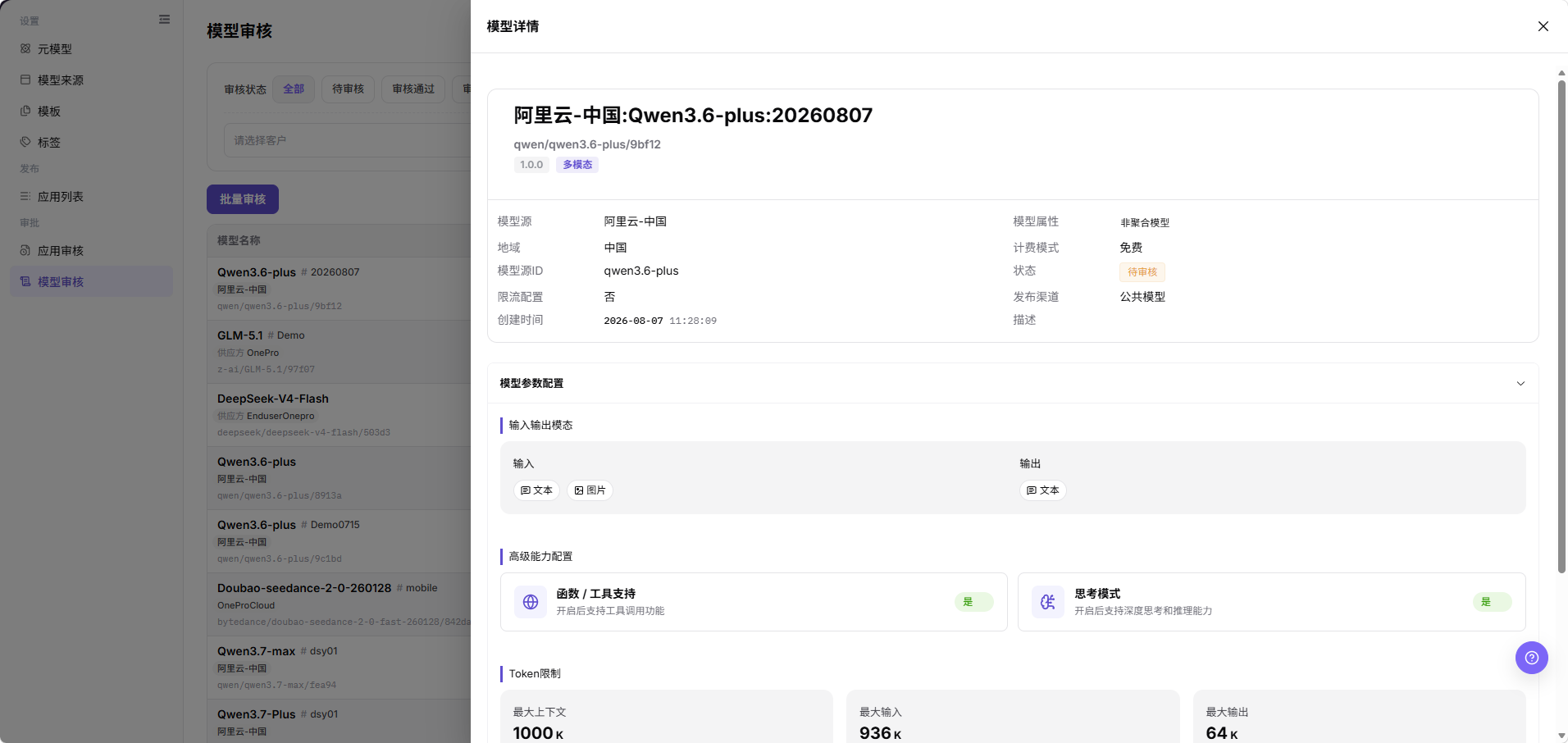 模型审核详情